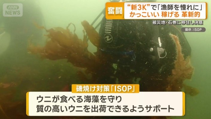 磯焼け対策