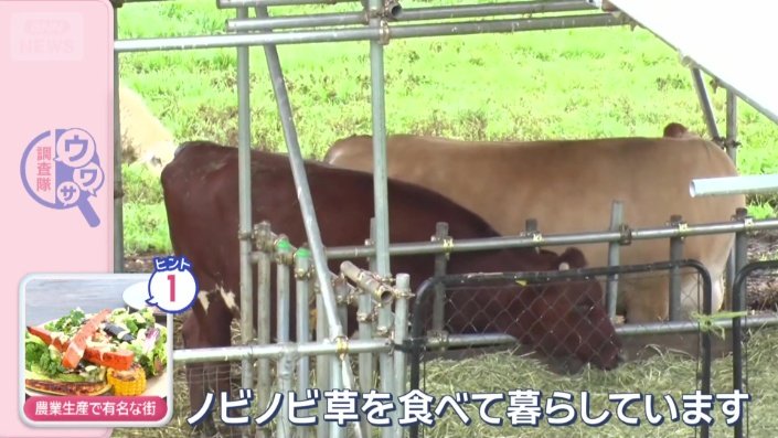 レストランの横に牧場が