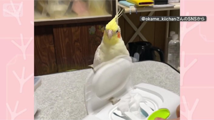 フタあけてー