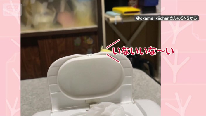 いないいな〜い