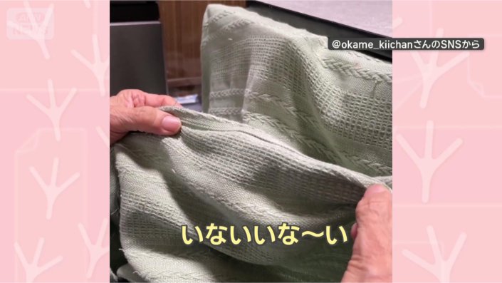 いないいな〜い