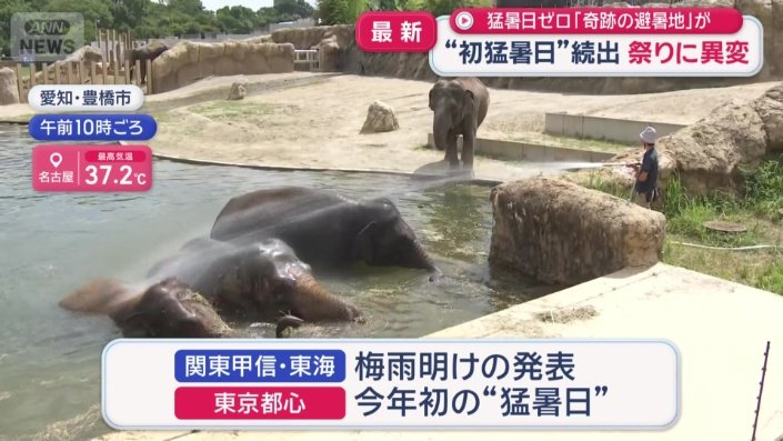 ゾウも水浴びで暑さしのぐ