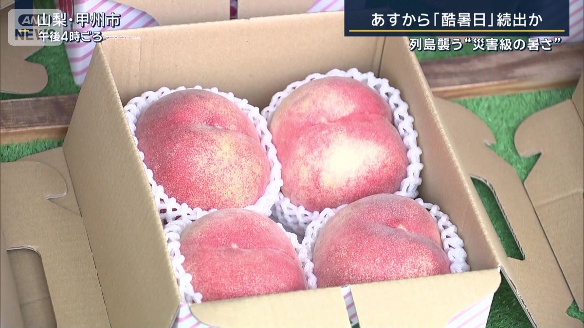 モモ