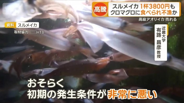 「初期の発生条件が非常に悪い」