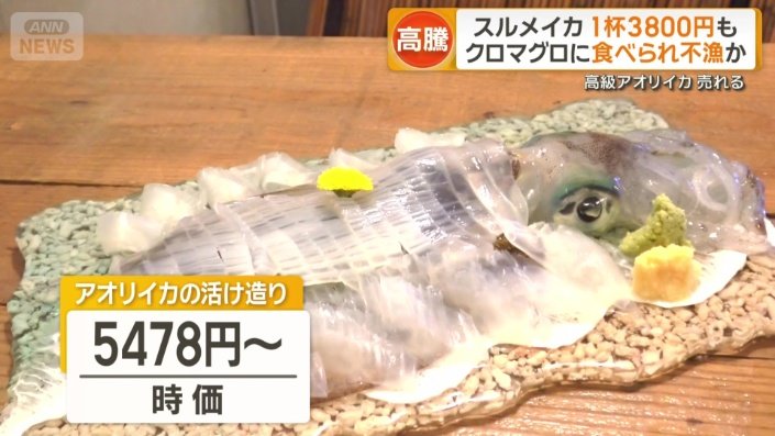 アオリイカの活け造り