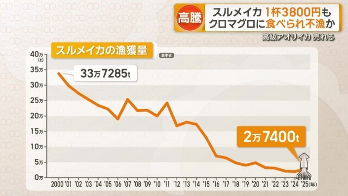 スルメイカの漁獲量
