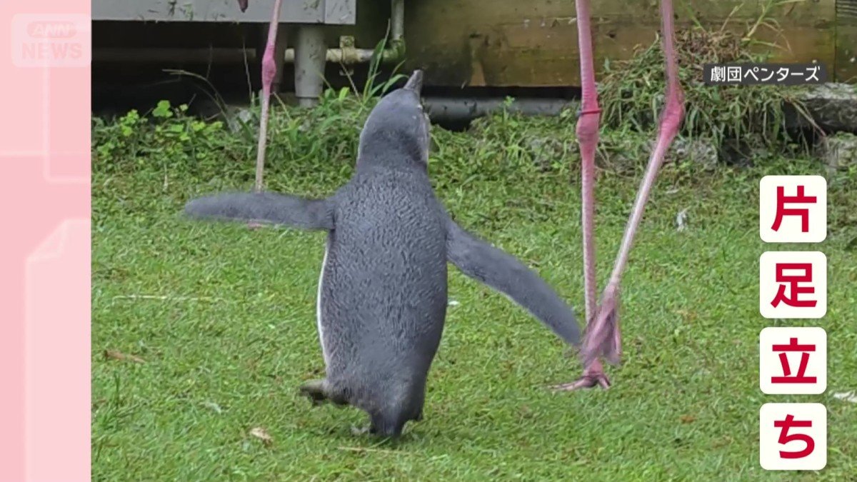 なんと片足立ちも！