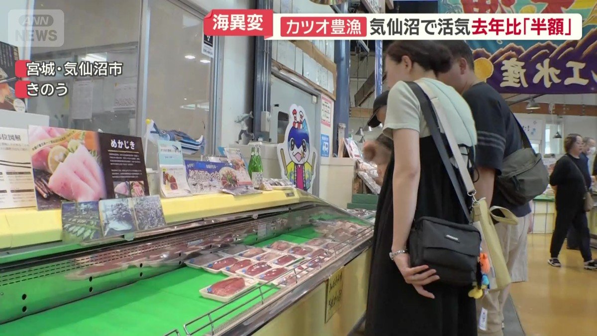 カツオが並ぶ漁港の市場