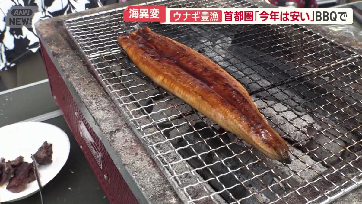 バーベキュー用に購入したうなぎ
