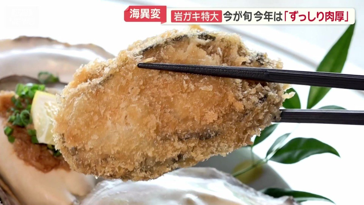 食べ応えのあるカキフライ