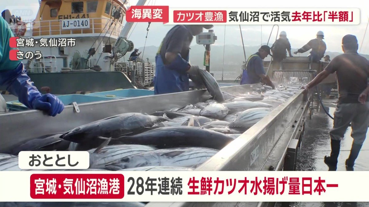 あふれんばかりのカツオ