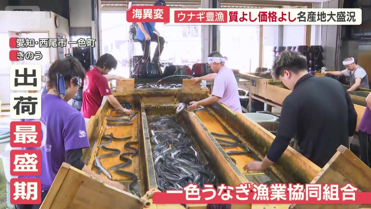 一色うなぎ漁業協同組合