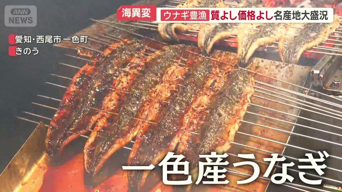 愛知県の「一色産うなぎ」