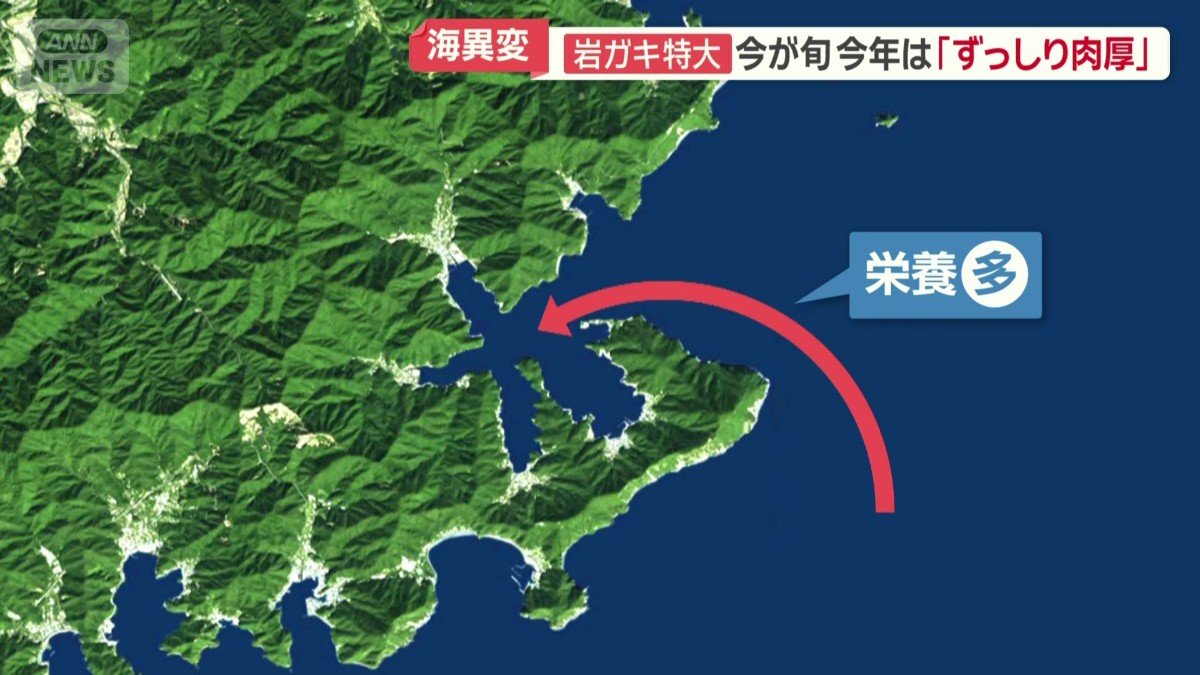 これまで以上に豊富な栄養が
