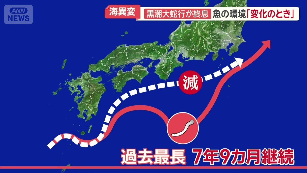 去年終息でシラスウナギは再び日本近海に