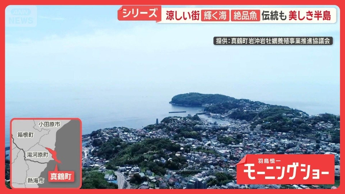 猛暑の中でも「涼しい街」 神奈川・真鶴町　都心から1時間　森と海「自然のエアコン」