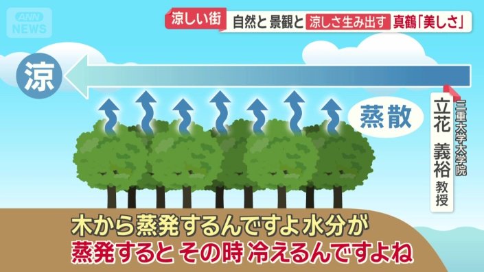 もう一つの要因「巨大な森」