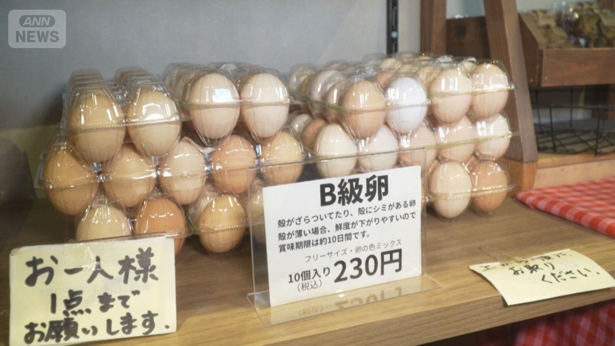 卵価格高止まり 訳アリ「B級卵」ってなに？1パック10個入り230円