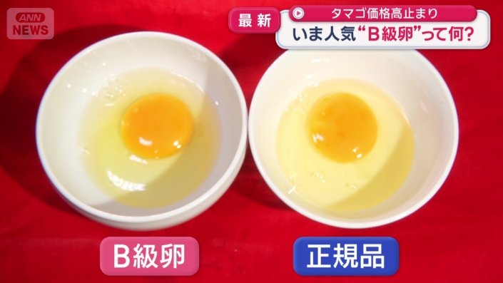 見た目にほとんど違いはない