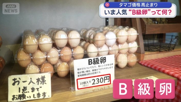 1パック10個入りで230円のB級卵
