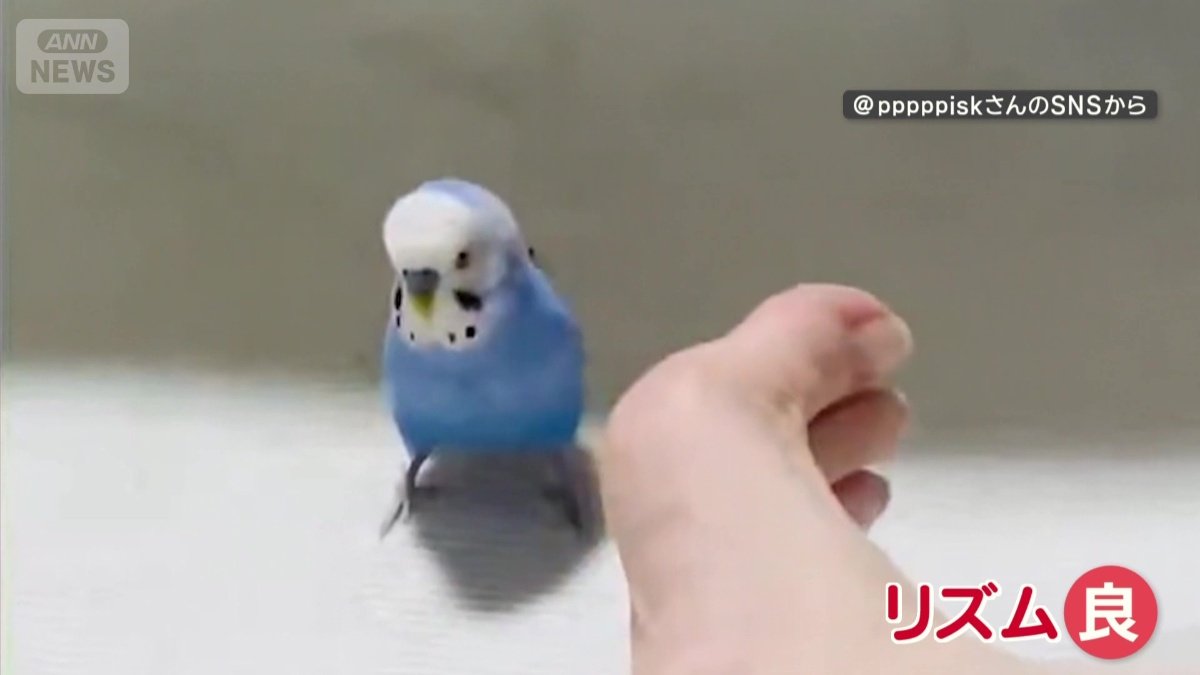 リズムよく動く