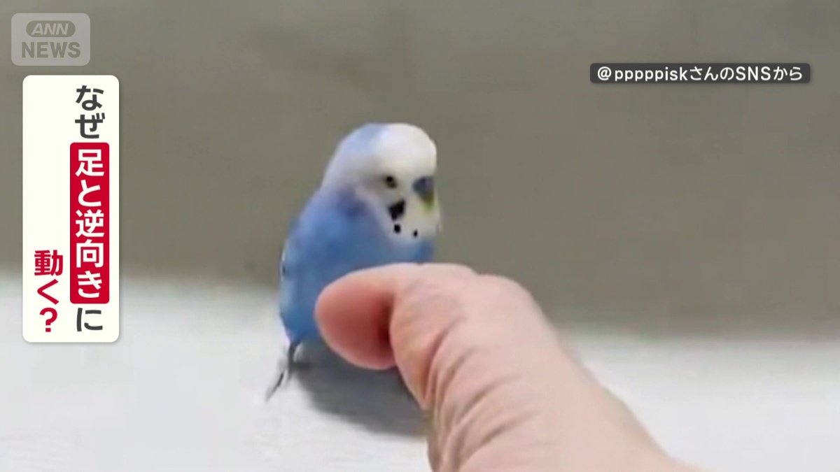 なぜ足と逆方向に動く？