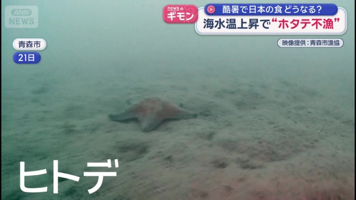 ヒトデ
