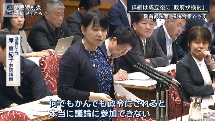 立憲民主党 岸真紀子参院議員
