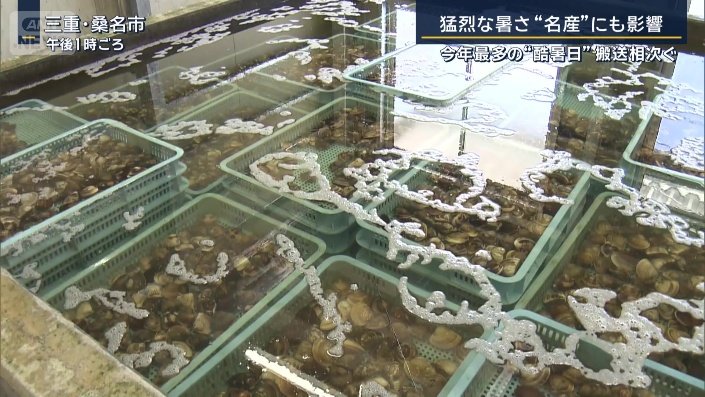 ハマグリ問屋