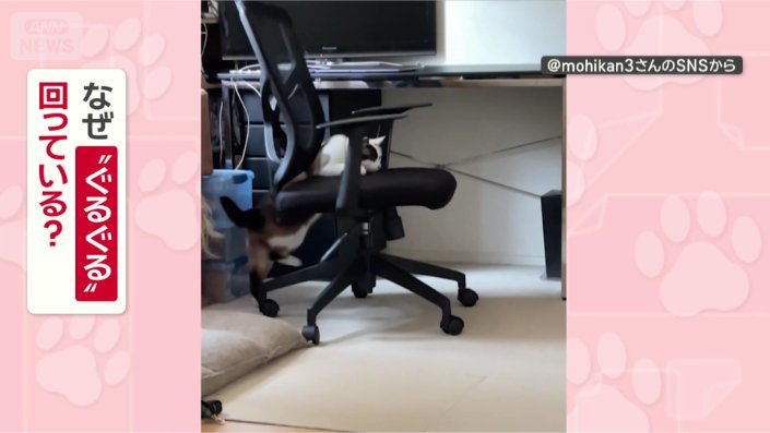 なぜ“ぐるぐる”してるの？
