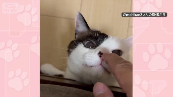 遊ぶのたのしい