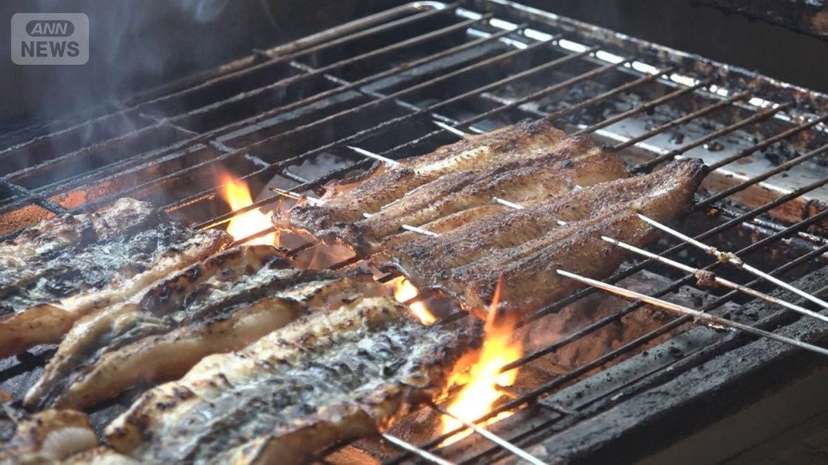 “土用の丑の日”うなぎが安い　稚魚が豊漁で仕入れ値が低下　光熱費高騰などをカバー