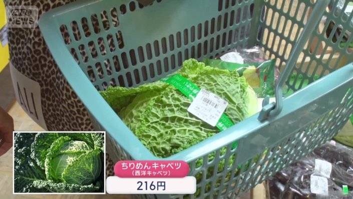 西洋キャベツも