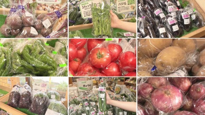 新鮮な野菜が並ぶ