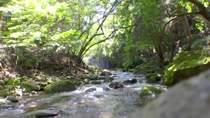 「谷太郎川」