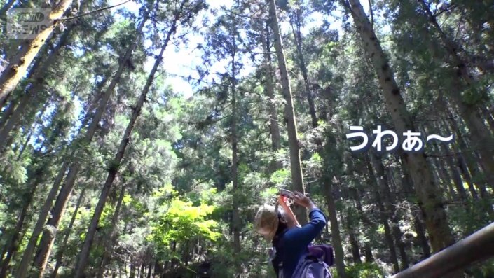 森の中へ
