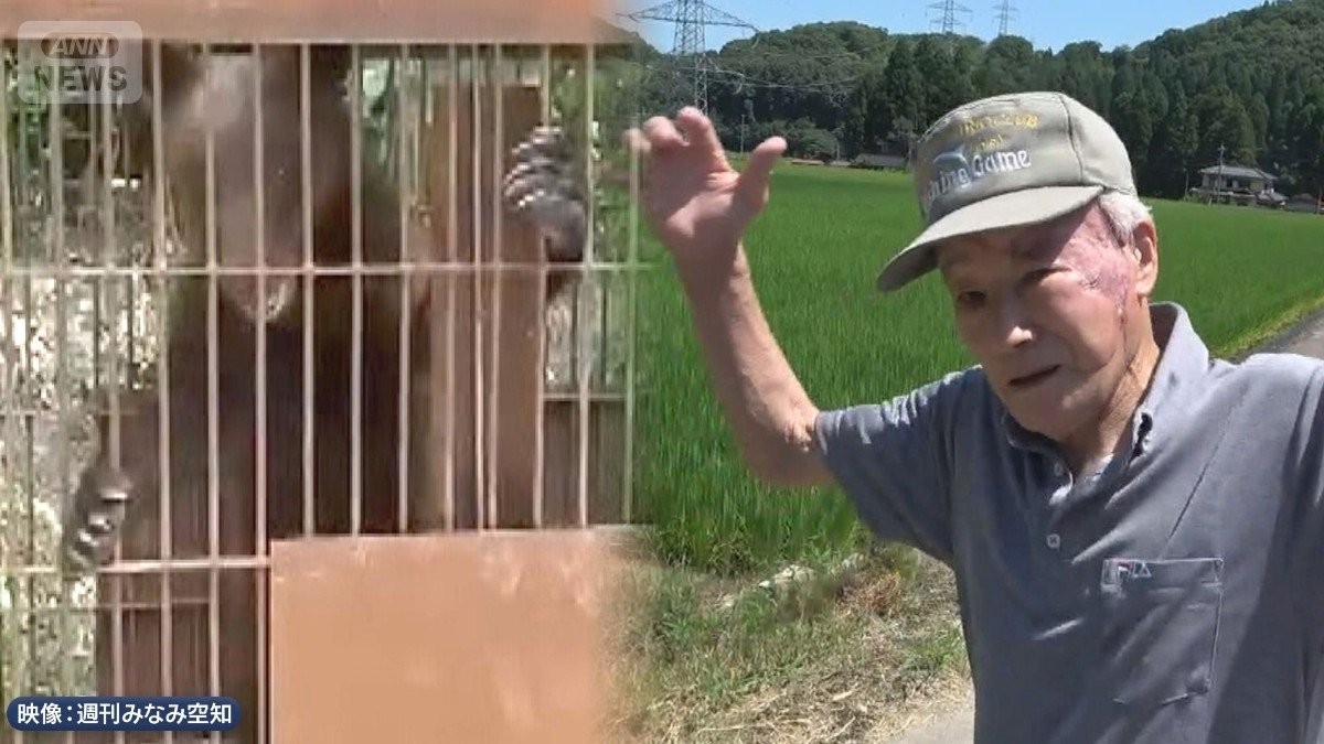 なぜ？猛暑でクマ相次ぐ出没　新米が育つ水田を疾走