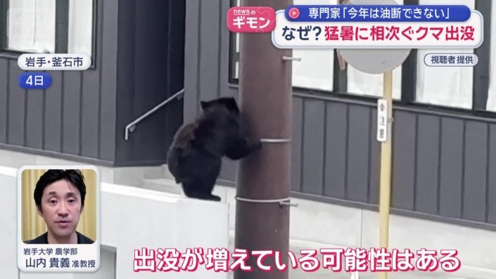 岩手大学 農学部 山内貴義准教授