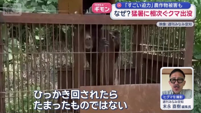 鋭い爪を持つ