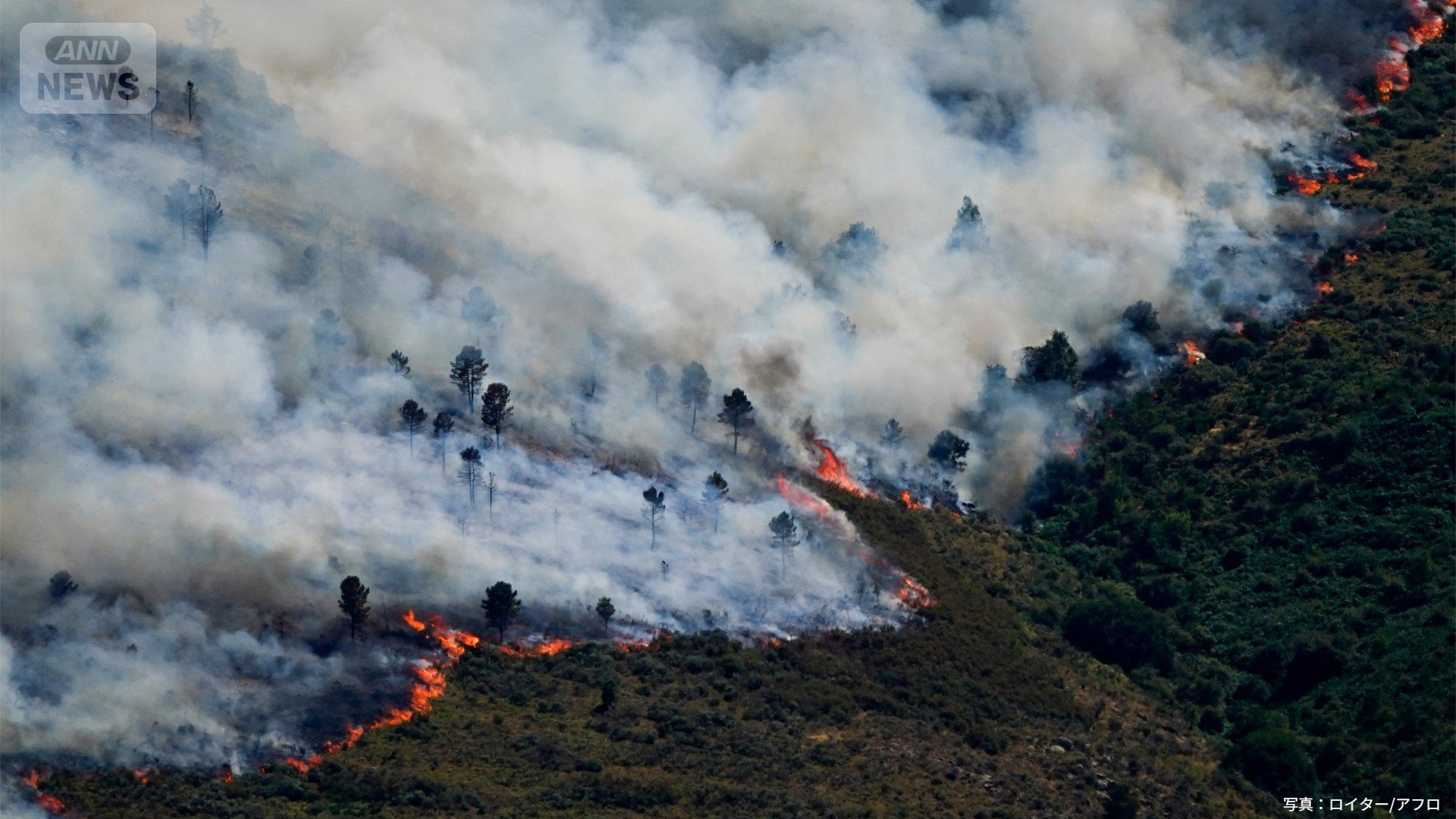 山火事で初の国家非常事態宣言 欧州の熱波 スペインの首都マドリードに迫る火の手
