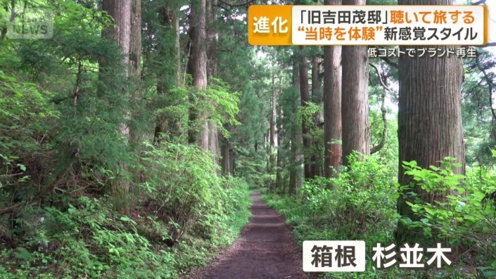 箱根の「杉並木」