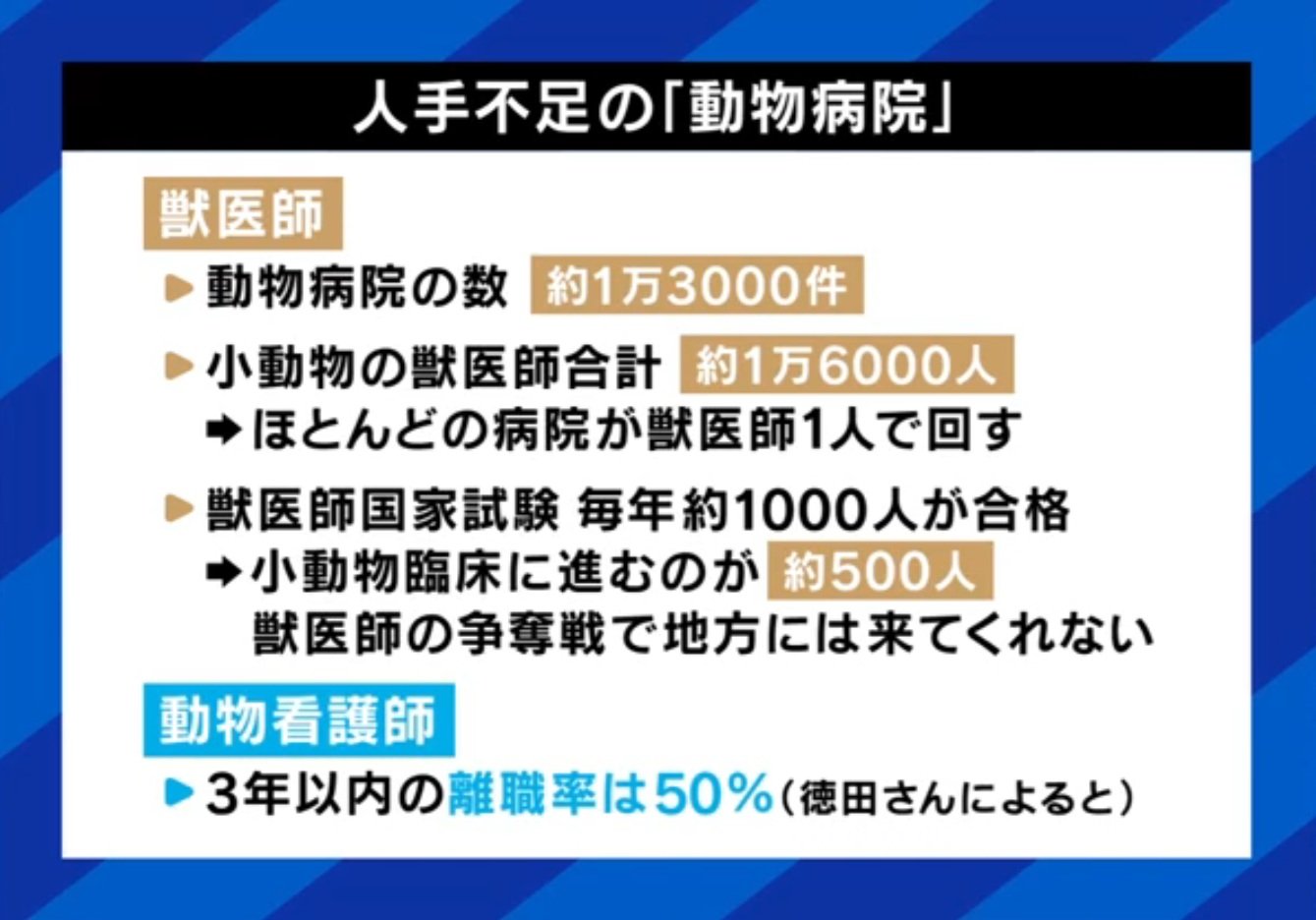 人手不足の動物病院
