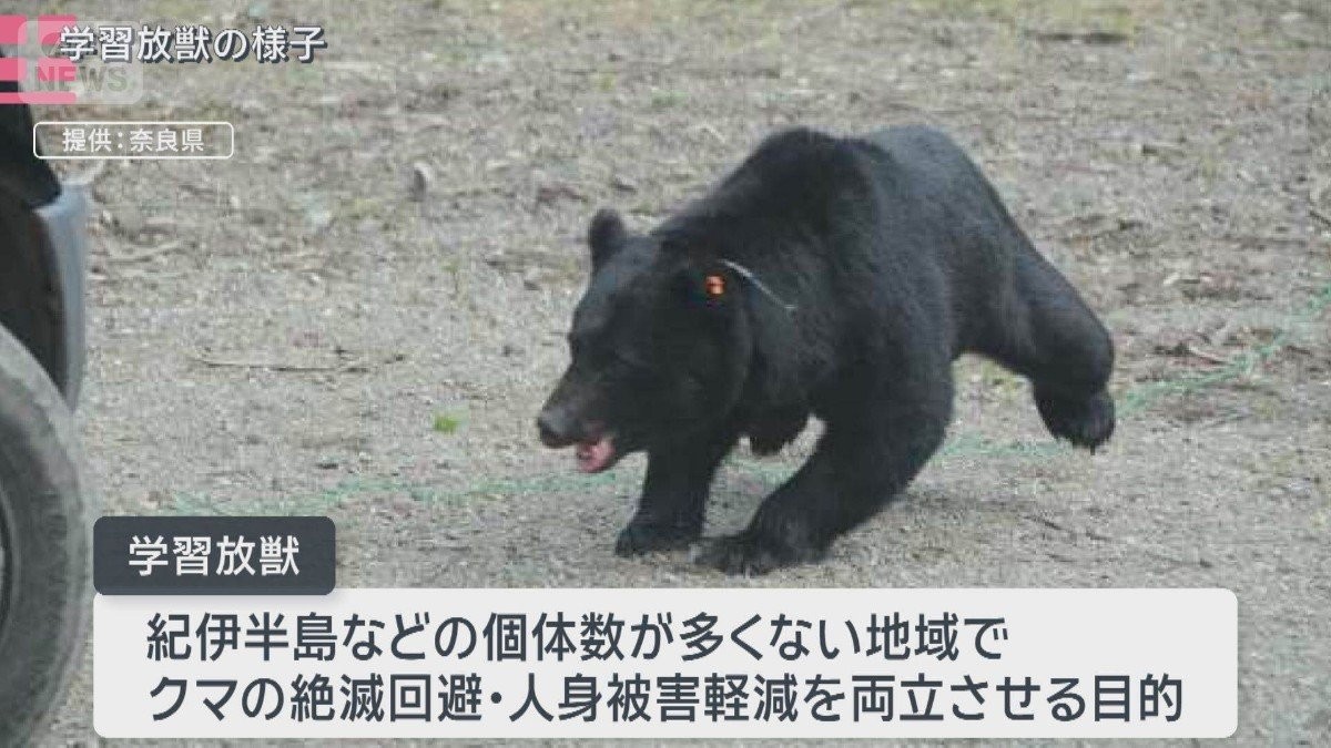 保護か住民の安全か…強いられる判断　“人間の怖さ”学ばず？クマ再出没