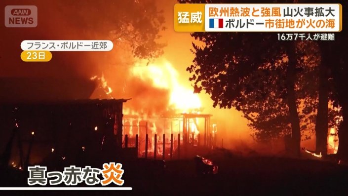 建物は骨組みだけに