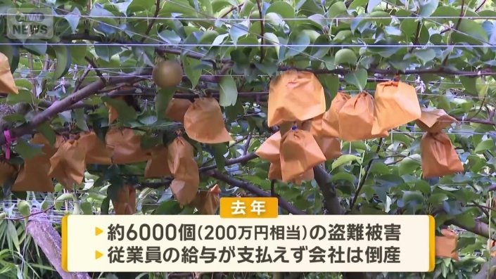 2年連続の盗難被害