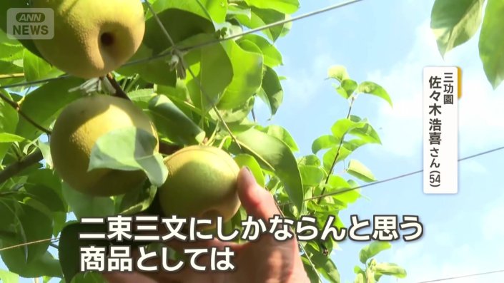 梨はまだ“食べられないもので商品価値が低い”