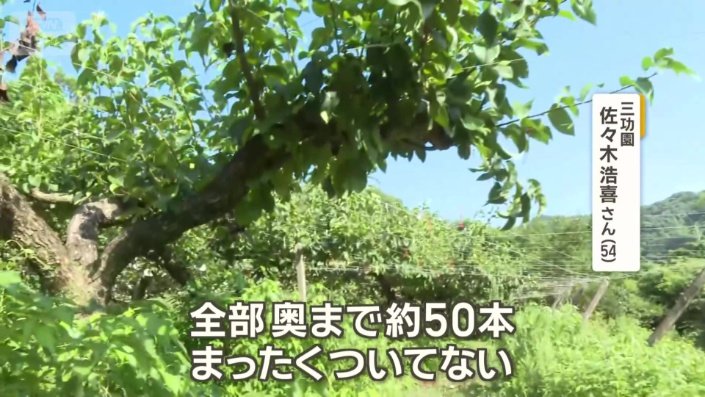 「全部取られてしまった」