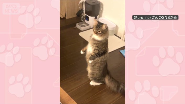 背筋ピーン