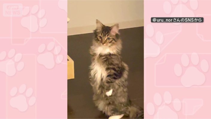きょうもピーン