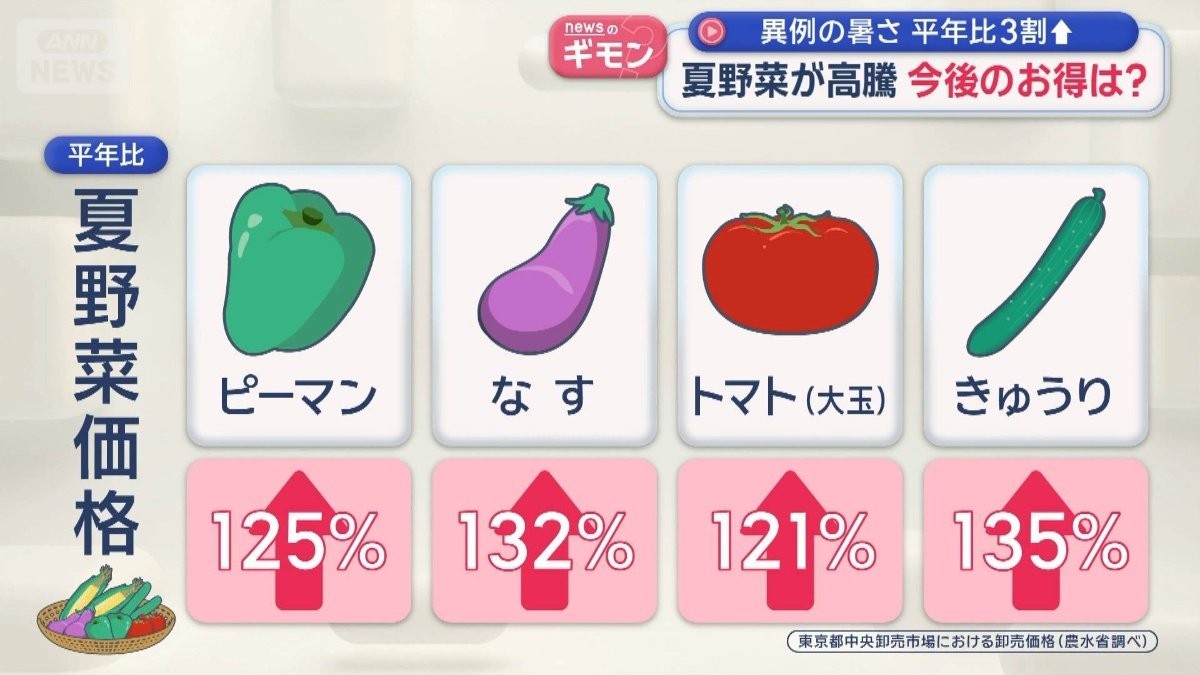 異例の暑さ　平年比3割高値　夏野菜が高騰　今後のお得は？